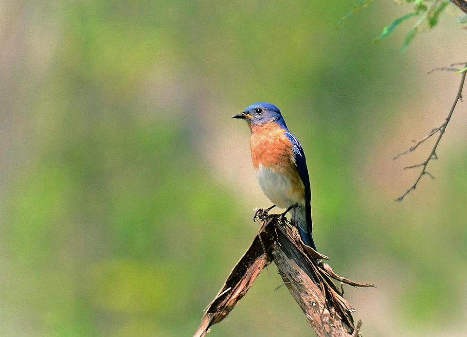 447850eb81f9655fd50bf52e7e393ebf