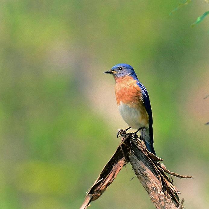 447850eb81f9655fd50bf52e7e393ebf