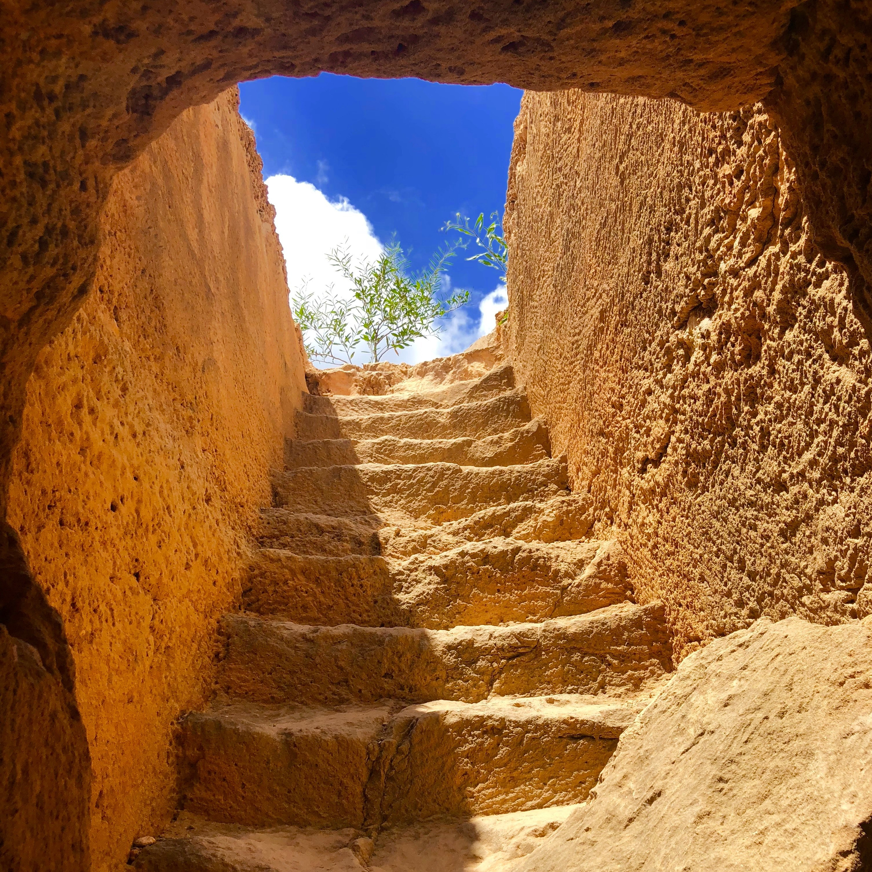 simon-wood-1182931-unsplash