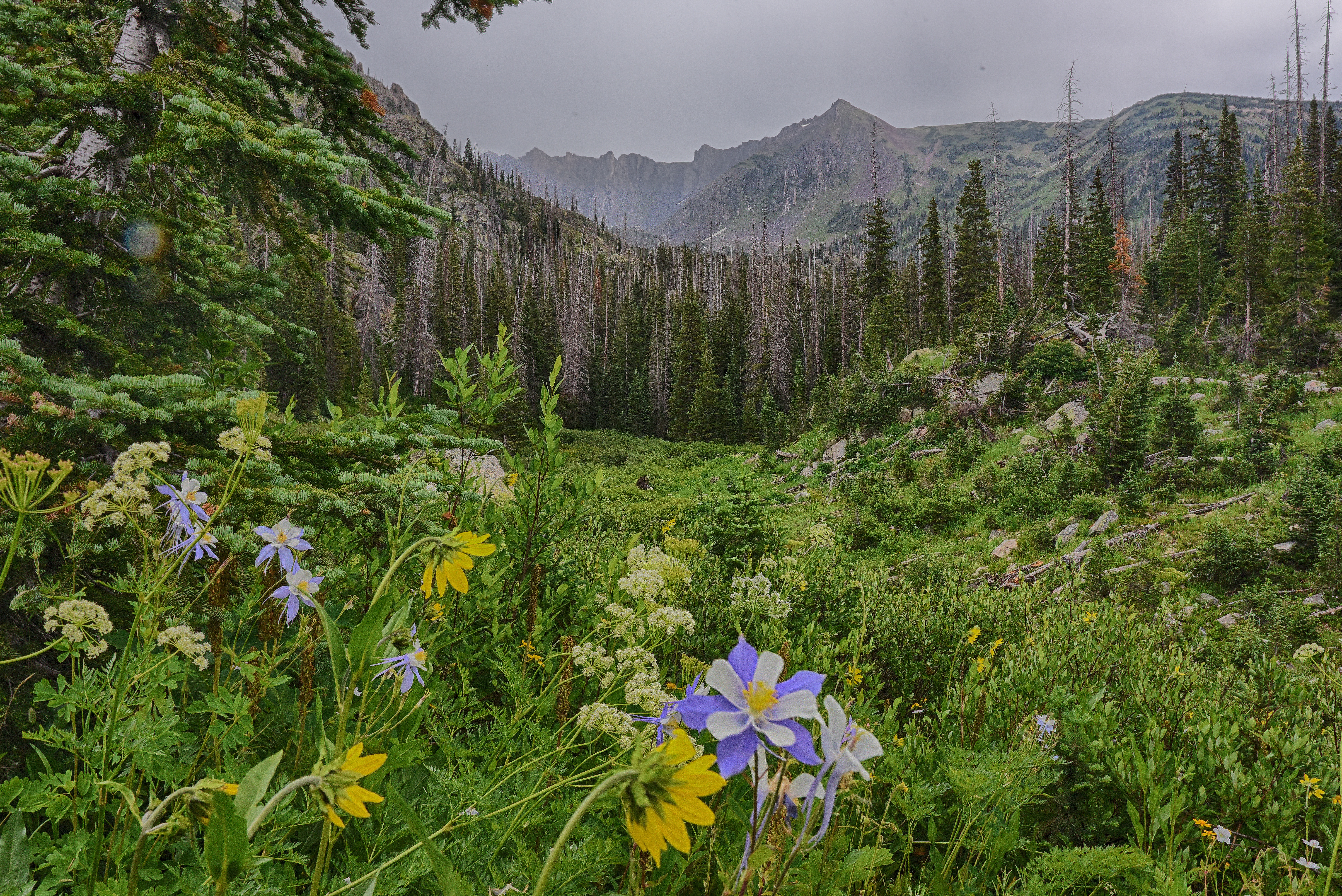 joshua-sharf-511484-unsplash