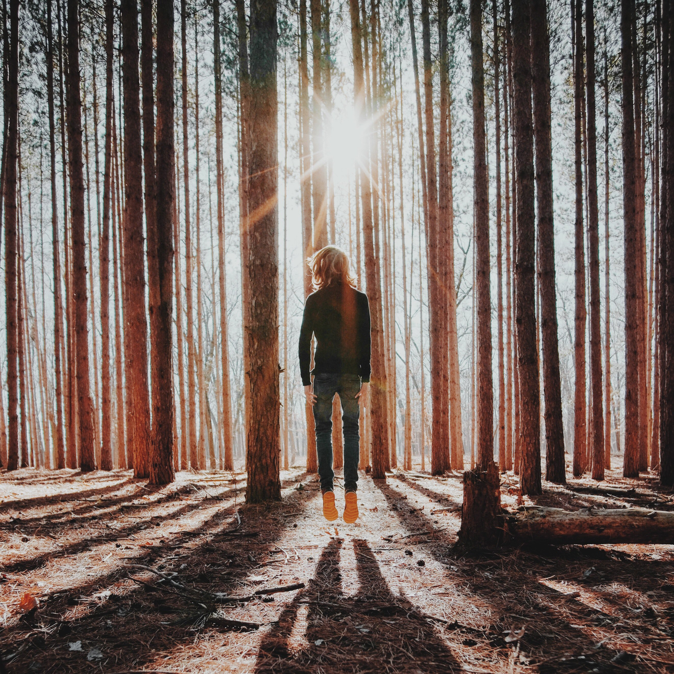 bryan-minear-315906-unsplash