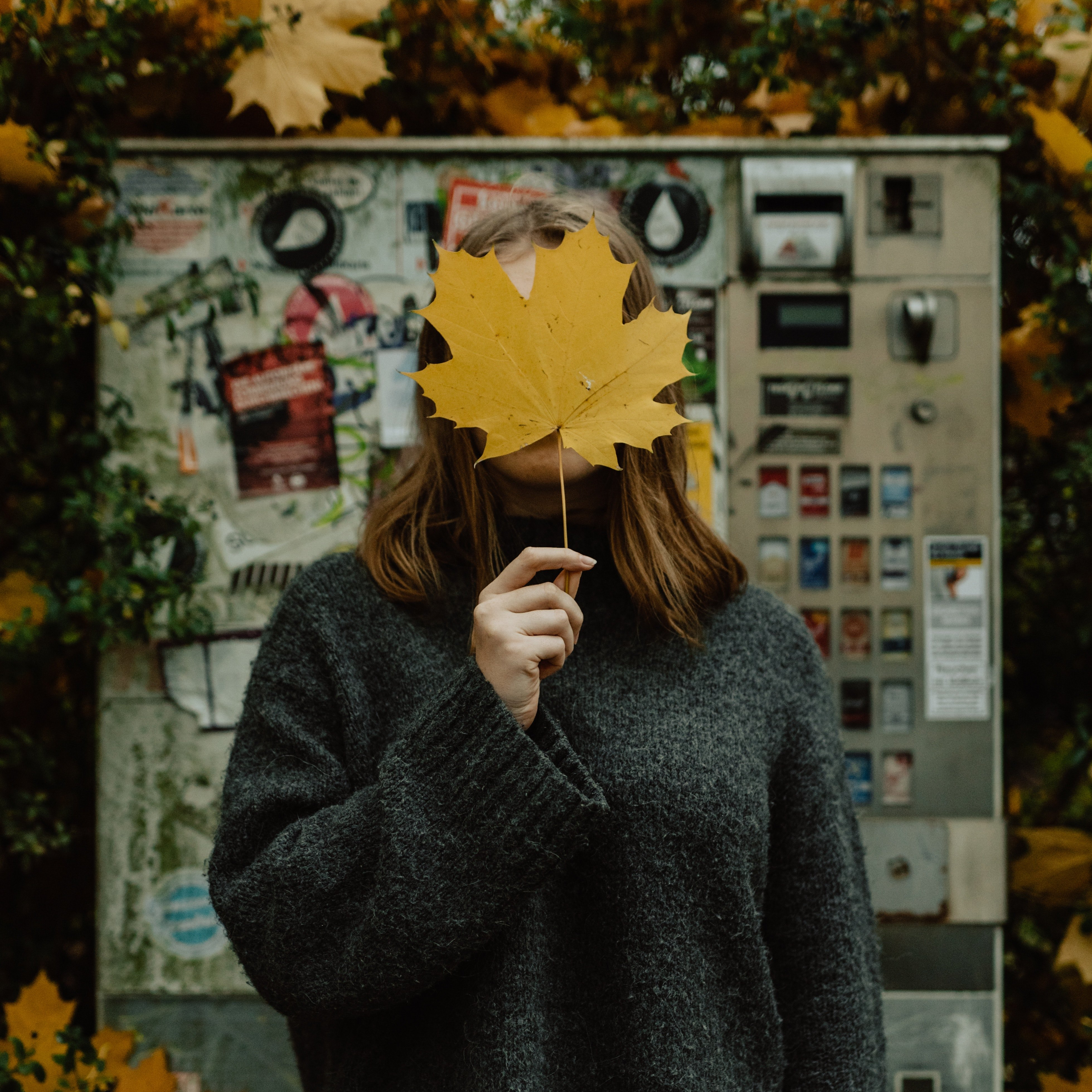 esther-driehaus-1149612-unsplash