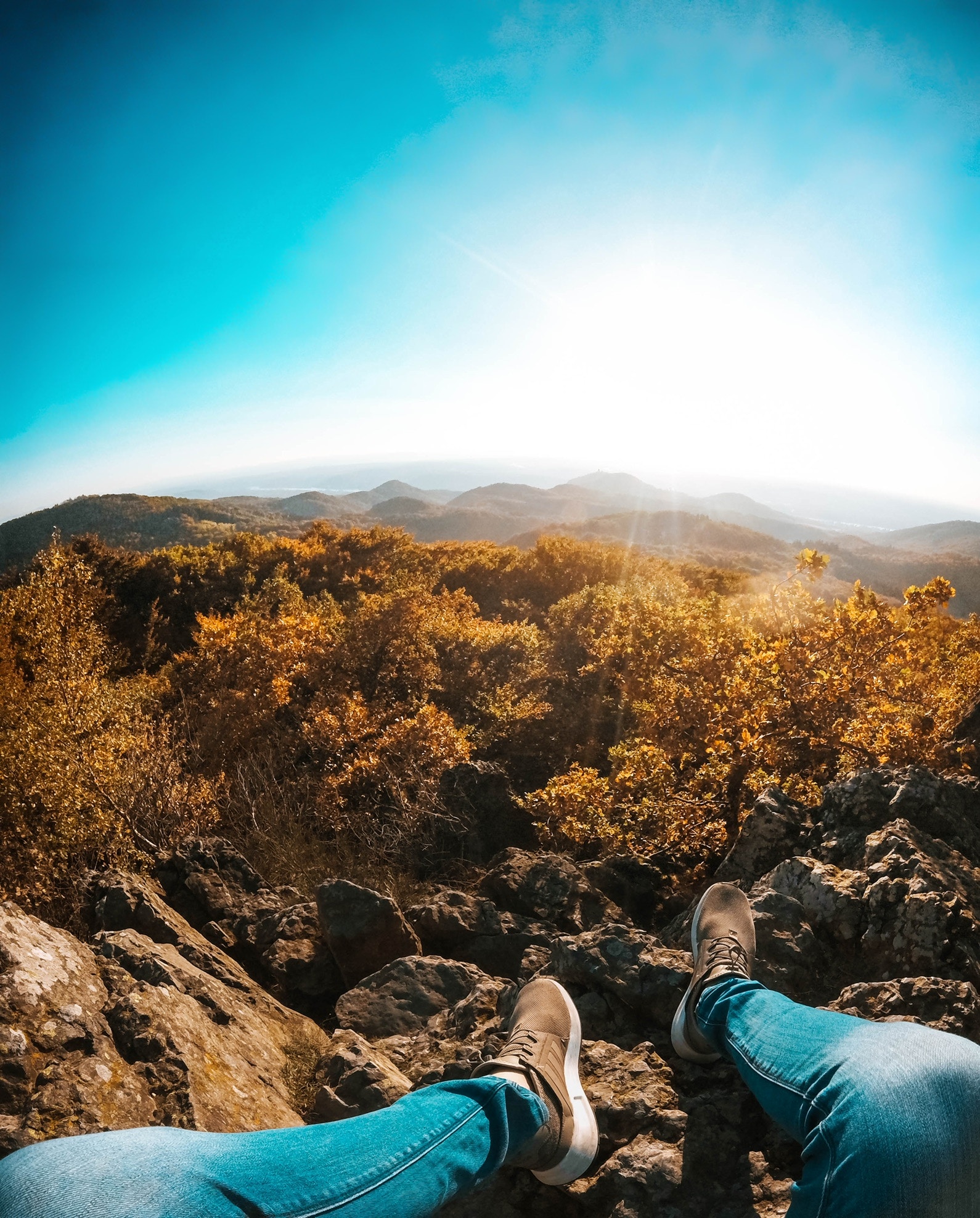 matthias-tillen-427888-unsplash