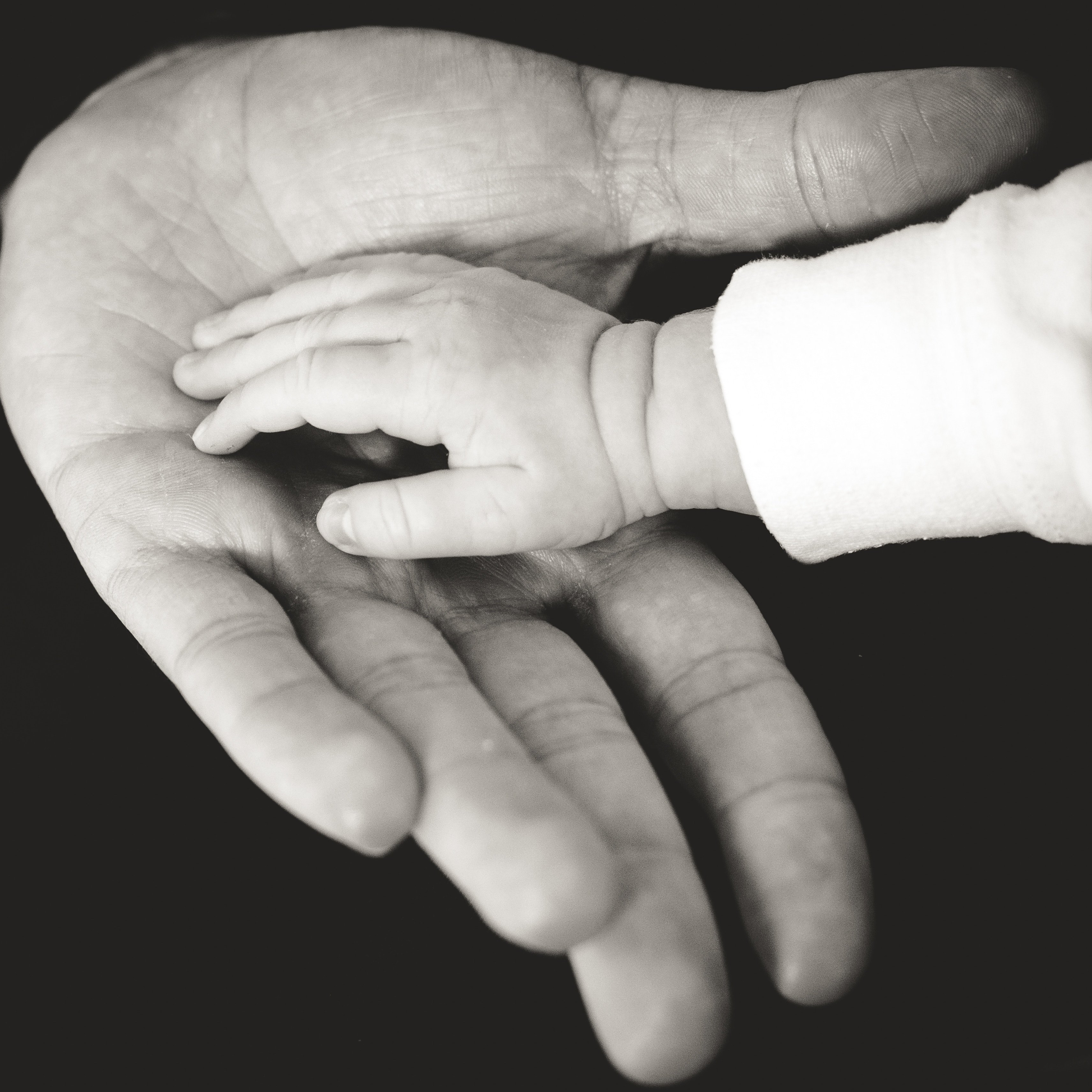 liane-metzler-30296-unsplash