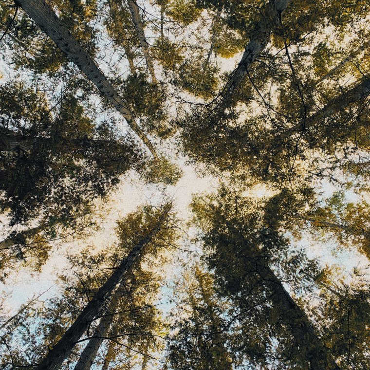 chau-kamto-1149071-unsplash