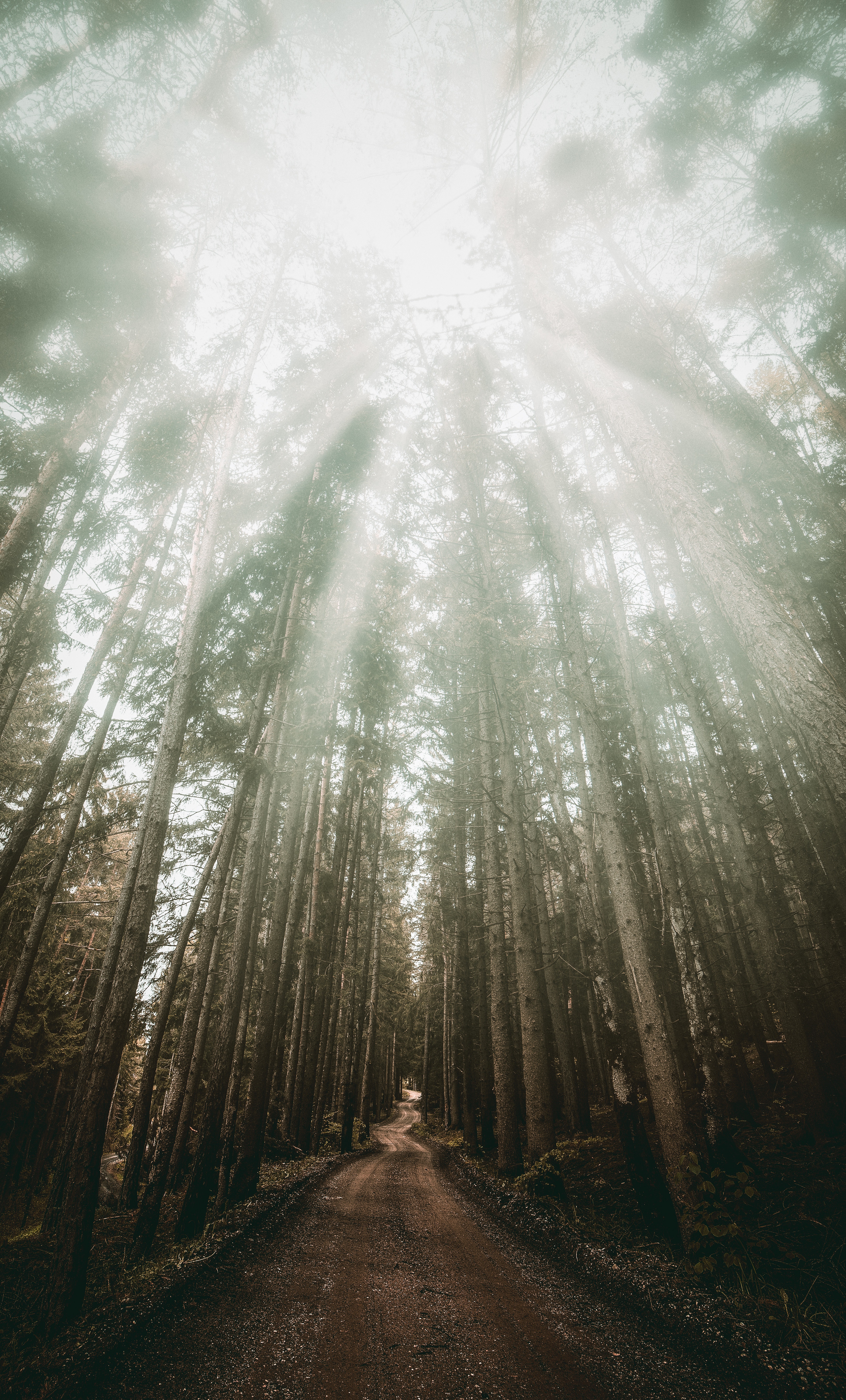 eberhard-grossgasteiger-1571660-unsplash