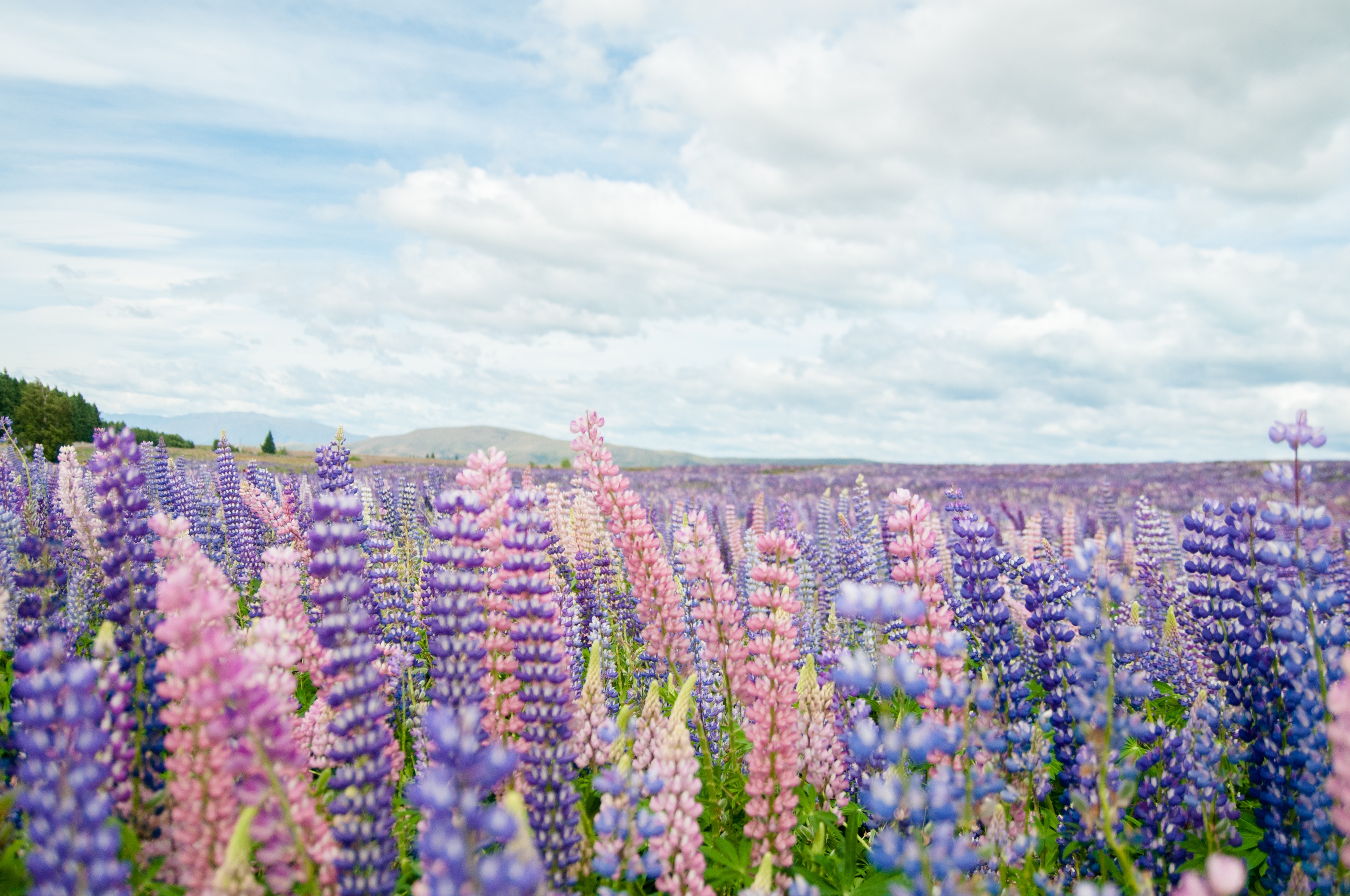 delphine-ducaruge-1602004-unsplash