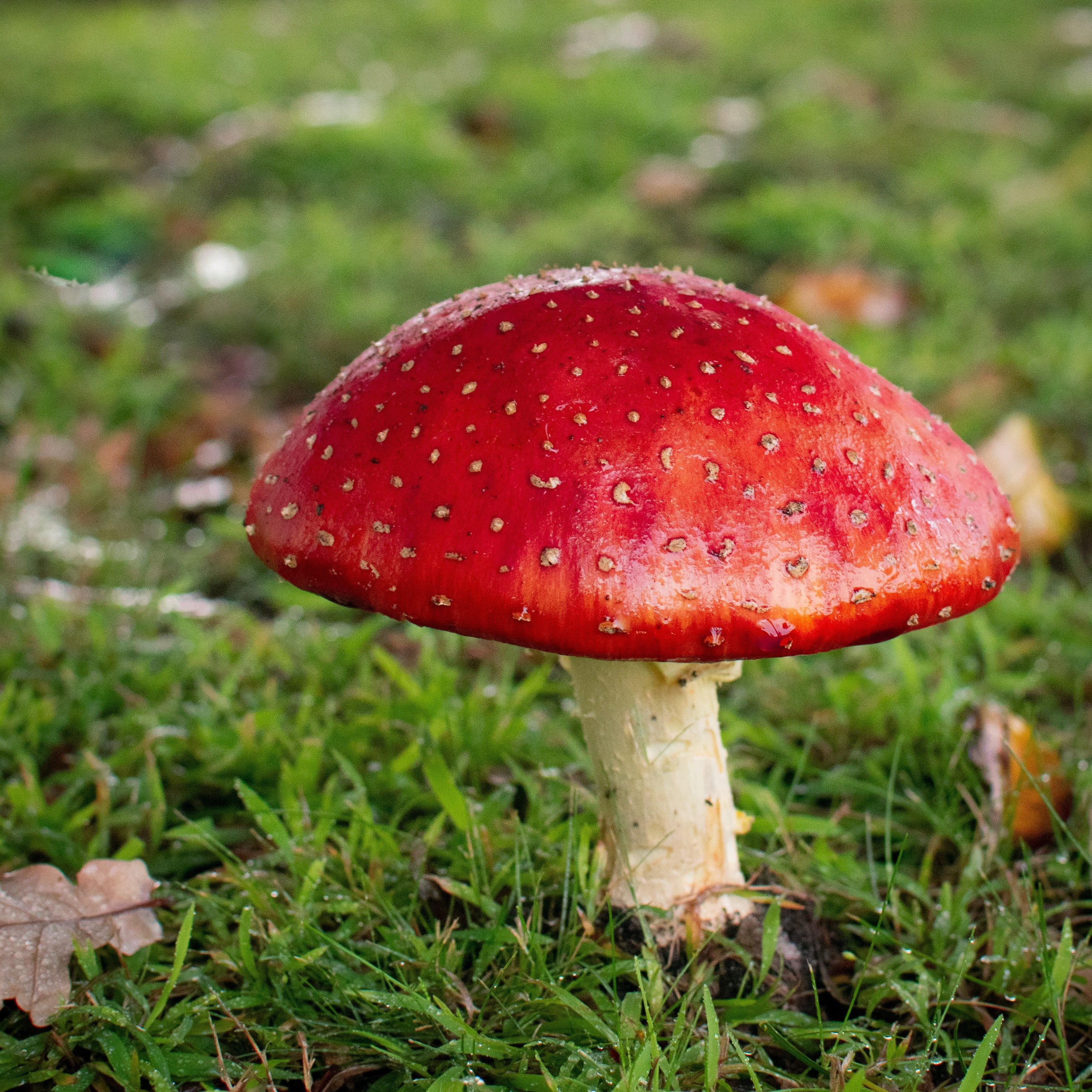 fiona-smallwood-9G00z_MOIZo-unsplash