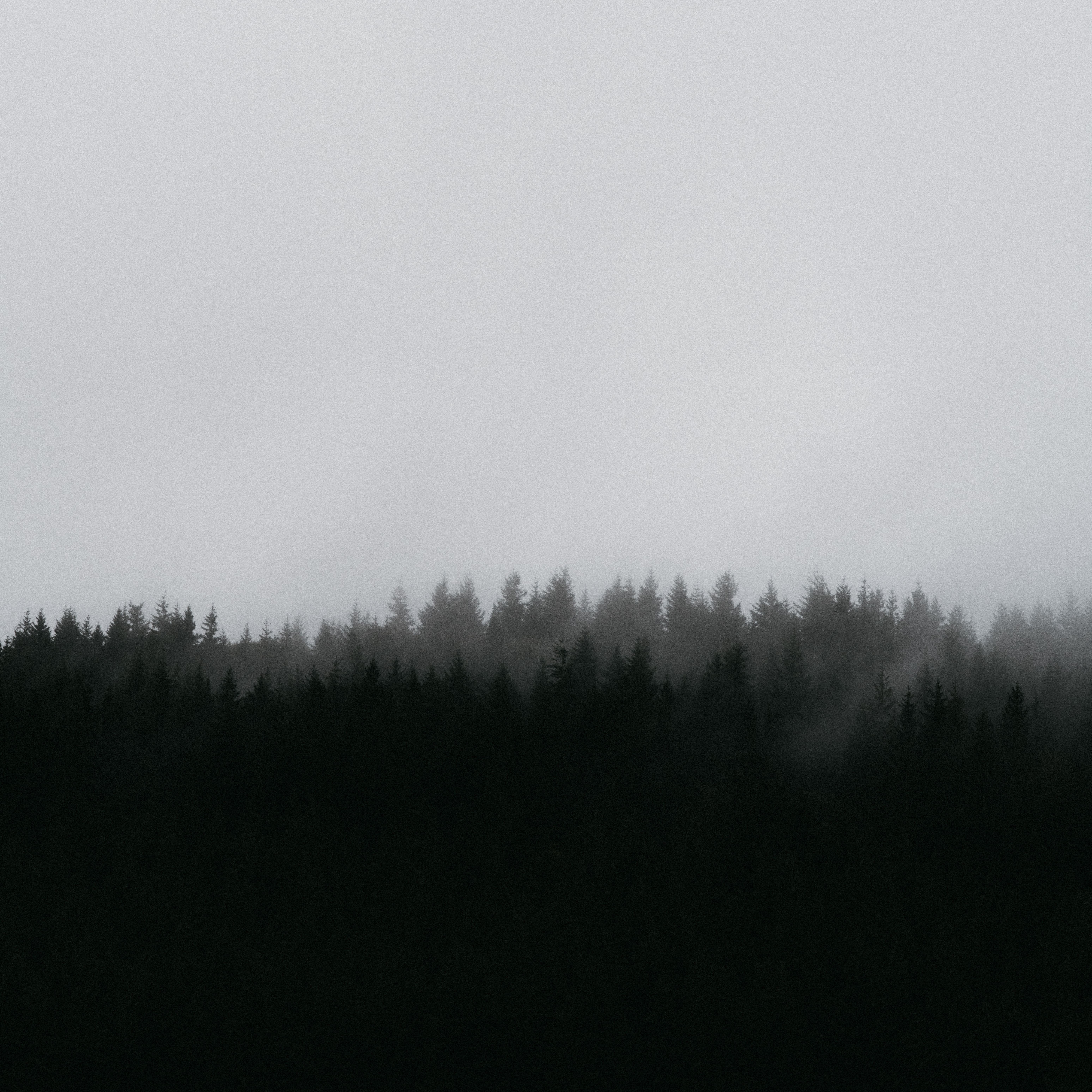 annie-spratt-IBFqPGfby2s-unsplash