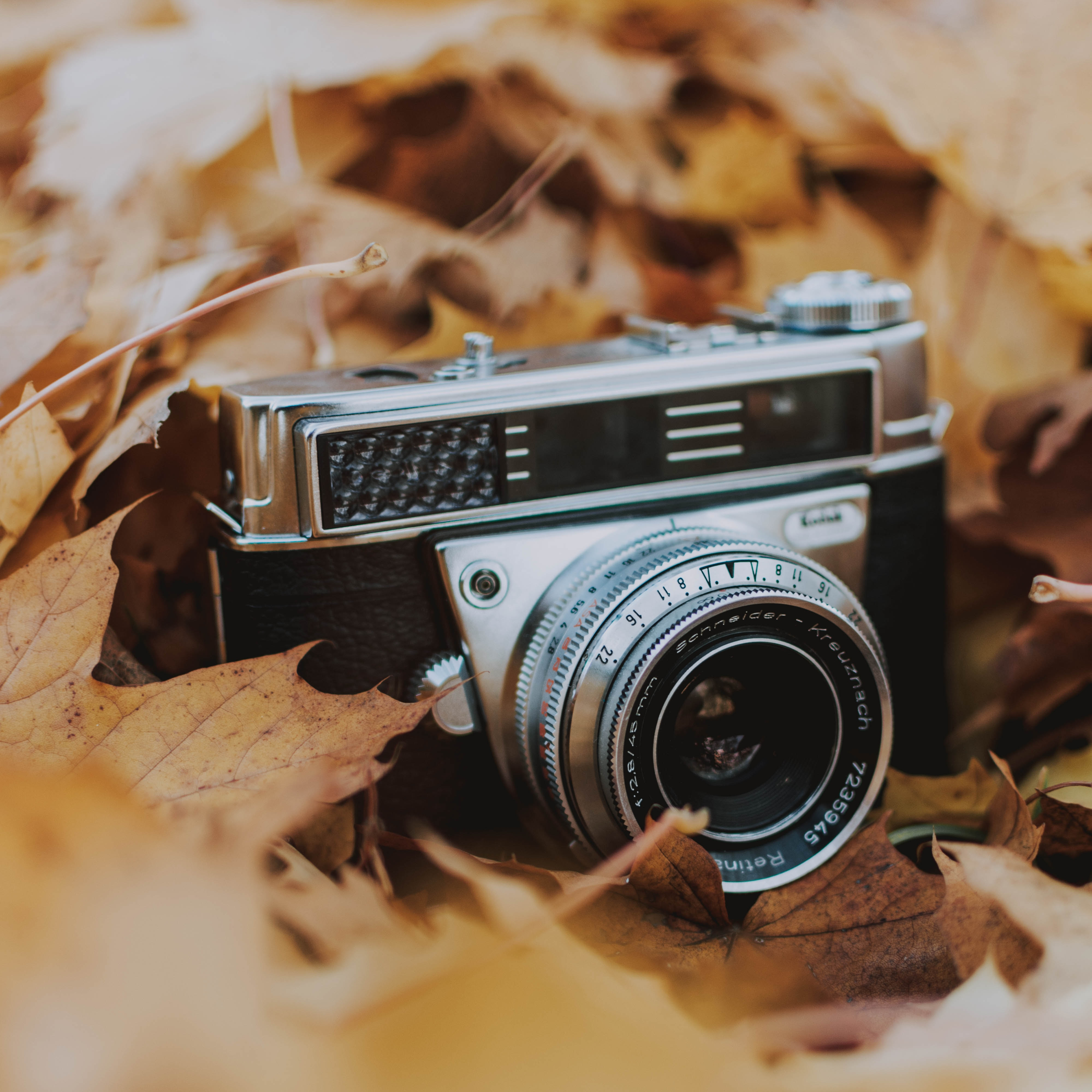 fotografierende-QS6k34dP_Ik-unsplash