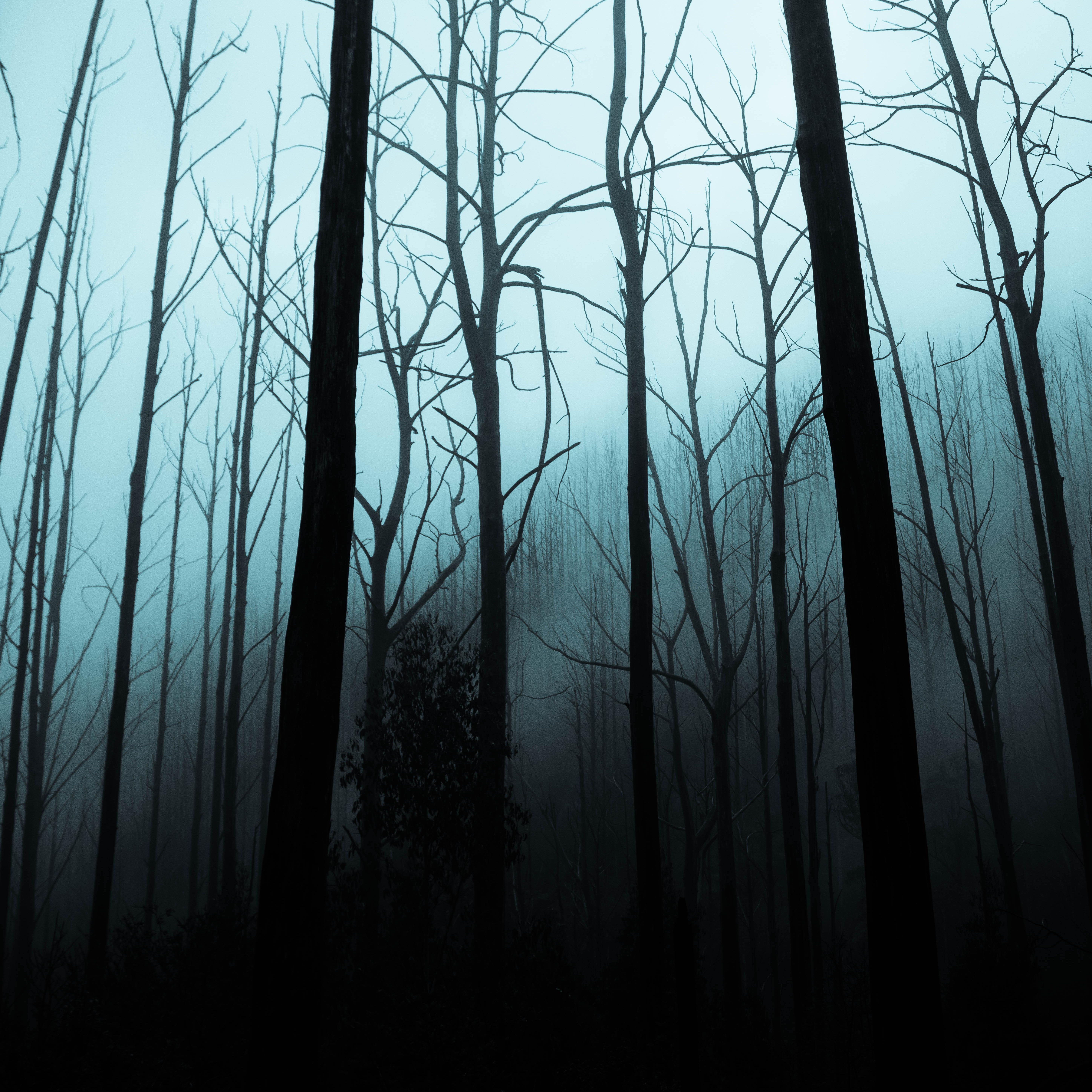 jack-cain-EKF89yEbGf8-unsplash